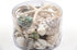 Premium Coral and Seashell Pack - Green Jade